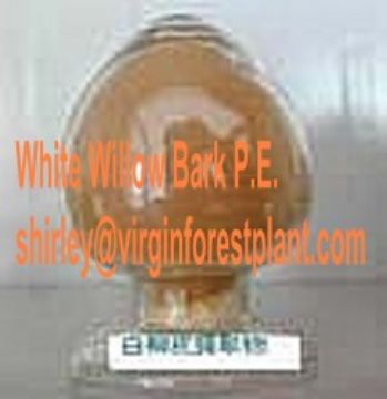 White Willow Bark P.E.  (Shirley At Virginforestplant Dot Com